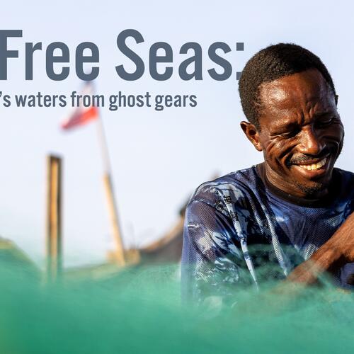 Net Free Seas: Saving Ghana's waters from plastic nets and ghost gears