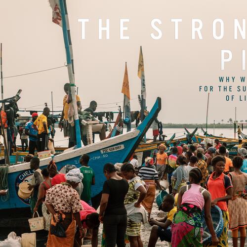 The strongest pillar: Why women are crucial for the sustainable future of Liberia's fisheries