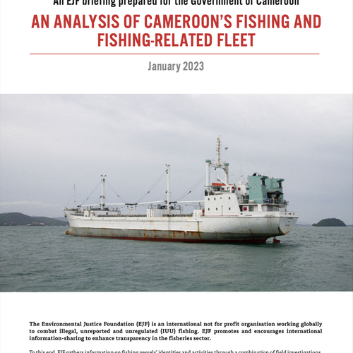 EJF briefing on Cameroon's fishing fleet