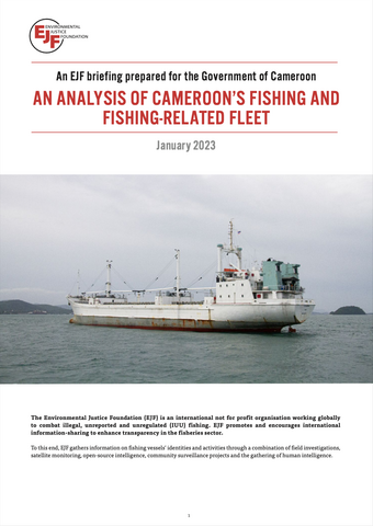 EJF briefing on Cameroon's fishing fleet