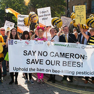 Activists swarm on Downing Street in a bid to save the bees