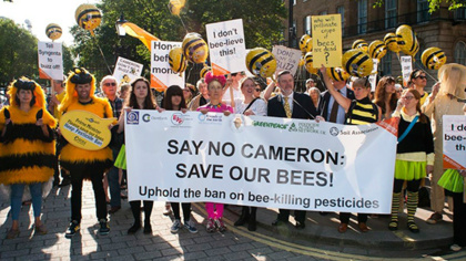 Activists swarm on Downing Street in a bid to save the bees
