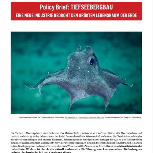Policy Brief: Tiefseebergbau – eine neue Industrie bedroht den größten Lebensraum der Erde