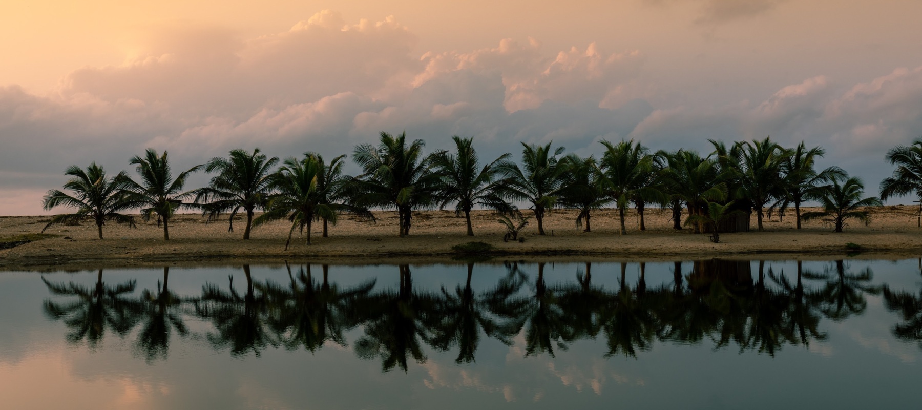Ghana reflecting trees