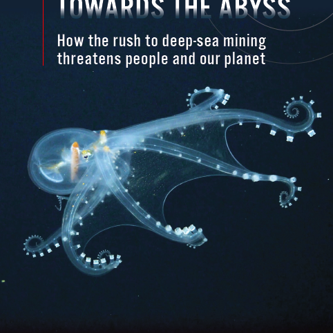 Towards the abyss: how the rush to deep-sea mining threatens people and our planet