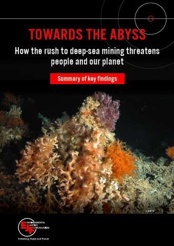 Towards the abyss: how the rush to deep-sea mining threatens people and our planet - summary briefing