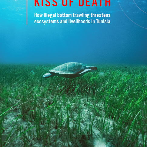 Kiss of death: How illegal bottom trawling threatens ecosystems and livelihoods in Tunisia