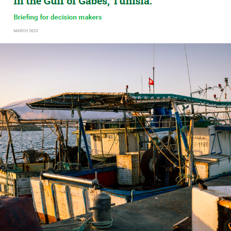 Chalutage de fond illégal en Méditerranée : le cas de la « pêche au Kiss » dans le golfe de Gabès, Tunisie