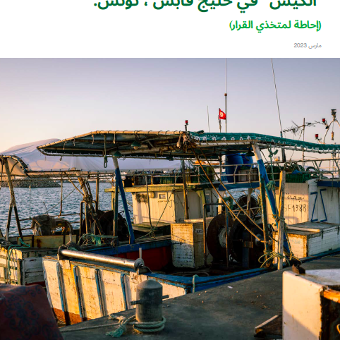 الصيد غير القانوني في قاع البحر الأبيض المتوسط: دراسة حالة الصّيد بشباك الجر "الكيس" في خليج قابس ، تونس