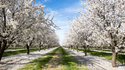 Environmental Justice Foundation funding boost from Dropbox