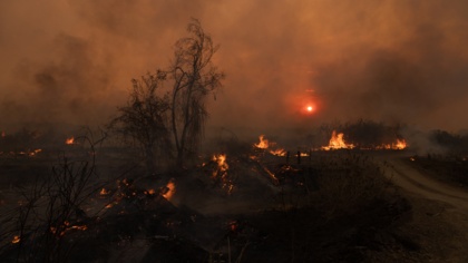 Time’s running out on decarbonisation, says IPCC: How we move forward