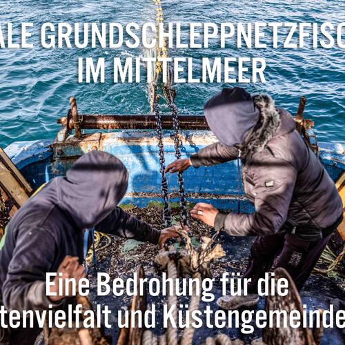 Illegale Grundschleppnetzfischerei im Mittelmeer: ​​Eine Bedrohung für marine Ökosysteme und Lebensgrundlagen in Tunesien