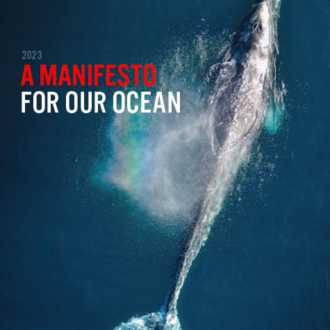 A manifesto for our ocean