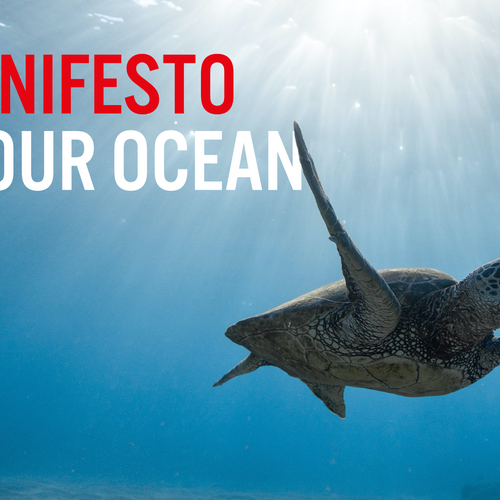 A manifesto for our ocean