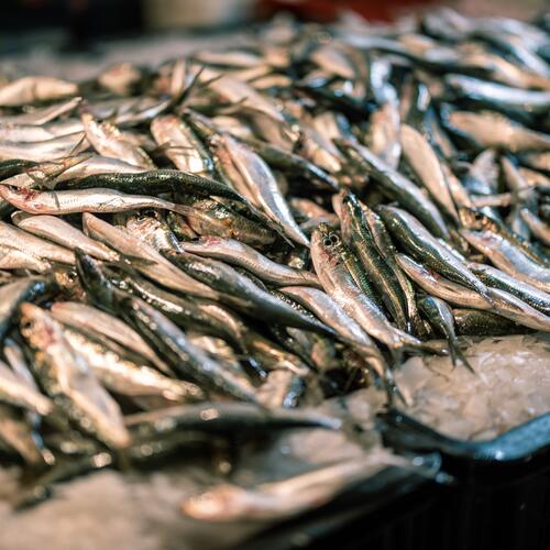 EU committee votes in favour of increased fisheries regulation: Press comment