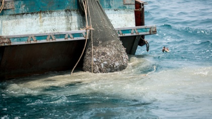 Die dunkle Seite der Fischerei: Mehr Transparenz kann Meere und Menschen schützen