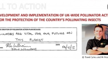 Iolo Williams Backs The Bees With EJF