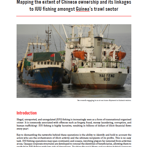 Mapping the extent of Chinese ownership and its linkages in Guinea's trawl sector
