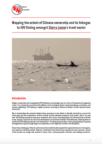 Mapping the extent of Chinese ownership and its linkages in Sierra Leone's trawl sector