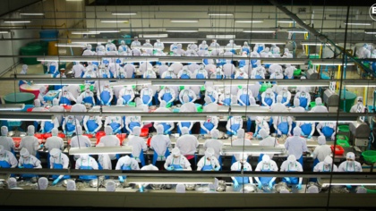 EJF releases report into human rights abuses in Thailand’s shrimp industry