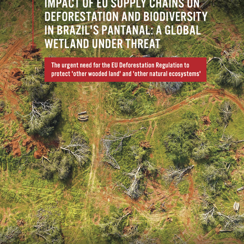 Einfluss von EU-Lieferketten auf die Entwaldung in Brasiliens Pantanal: Ein bedrohtes Feuchtgebiet