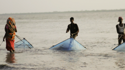 UPDATE: EJF to launch reports into Thai and Bangladeshi shrimp industries