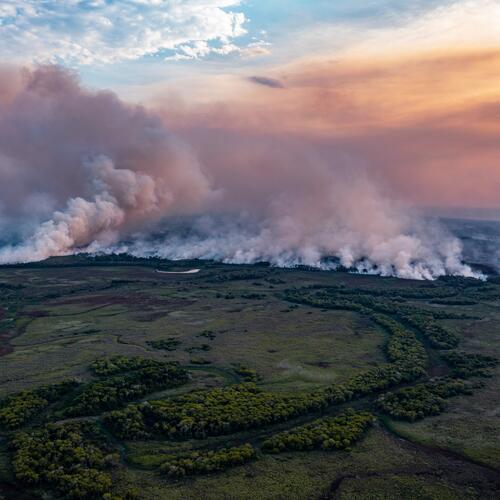 EU supply chains drive deforestation in biodiversity hotspot as major fires spread