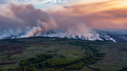 EU supply chains drive deforestation in biodiversity hotspot as major fires spread: EJF report