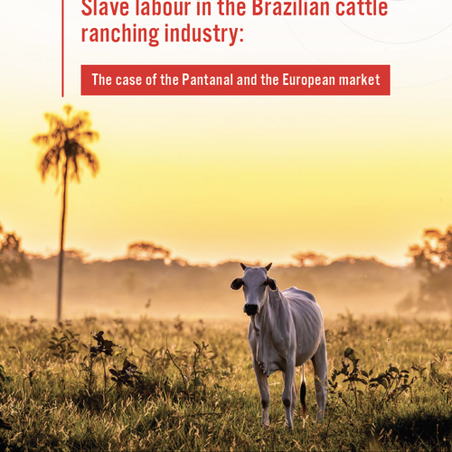 Sklavenarbeit in Brasiliens Viehzuchtindustrie: Fallbeispiel Pantanal