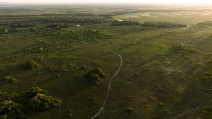EJF's report reveals systemic labour abuses and environmental destruction in Brazil's cattle ranching industry linked to EU supply chains