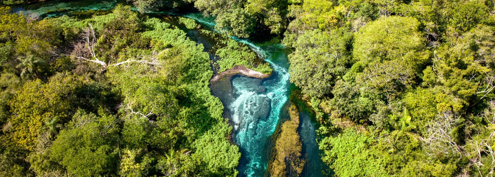 Wälder & Feuchtgebiete