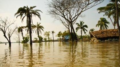 World Environment Day