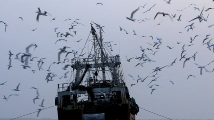 Eradicating illegal fishing and improving transparency in Regional Fisheries Management Organisations