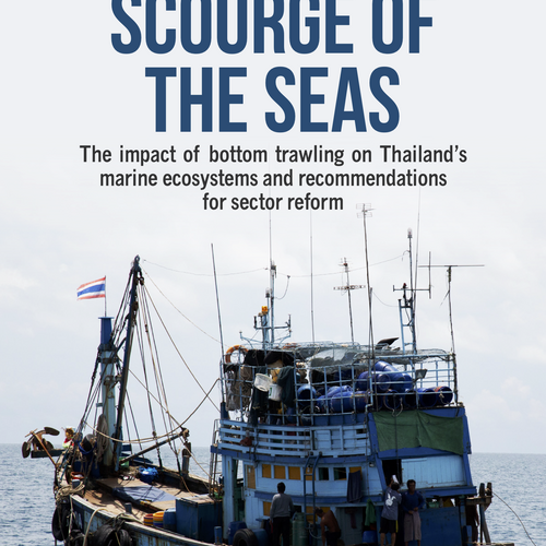 „Scourge of the Seas“: Auswirkungen der Grundschleppnetzfischerei auf marine Ökosysteme in Thailand