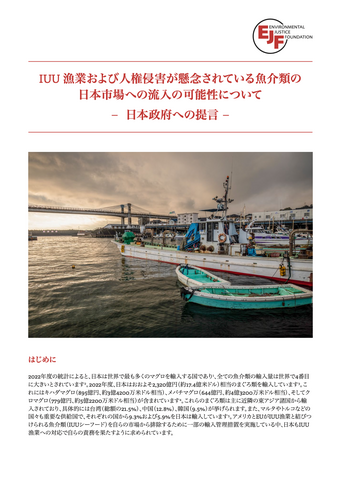IUU 漁業および人権侵害が懸念されている魚介類の 日本市場への流入の可能性について – 日本政府への提言 –