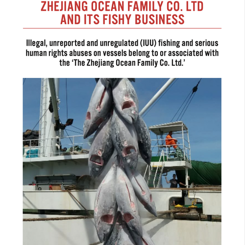 Illegale Fischerei und Menschenrechtsverletzungen auf Schiffen der Zhejiang Ocean Family Co., Ltd.