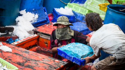 EU ambassadors say yes to the EU forced labour law