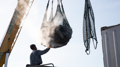 EU Member States salvage a deal for more sustainable business practices