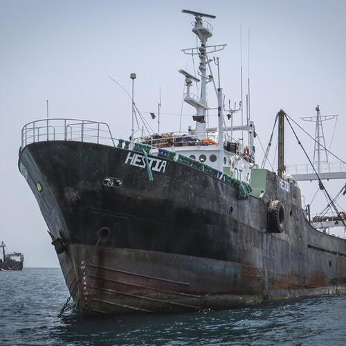 Pair Trawling: Frontline View
