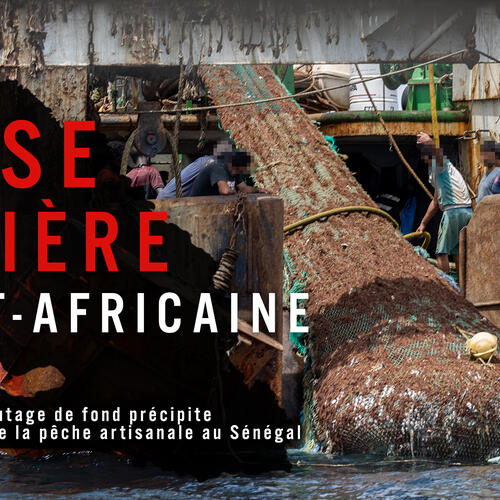 Comment le chalutage de fond précipite l'effondrement de la pêche artisanale au Sénégal