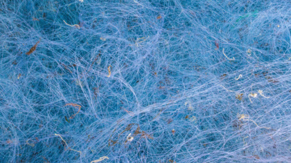 Mehr Plastik als Fische im Netz