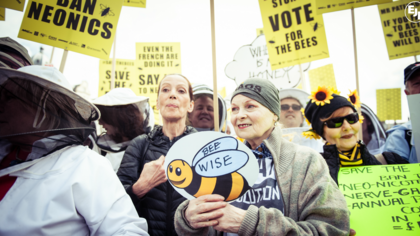 March of the beekeepers