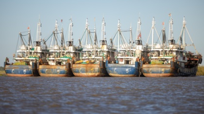 Press Release: The European Parliament has a golden opportunity  to combat systemic environmental and human rights abuses