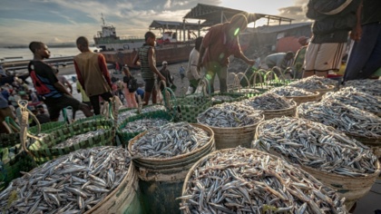 MEPs take a bold step towards corporate accountability