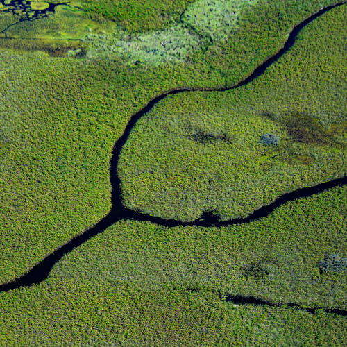 The jewel of the Kalahari desert: The Okavango Delta