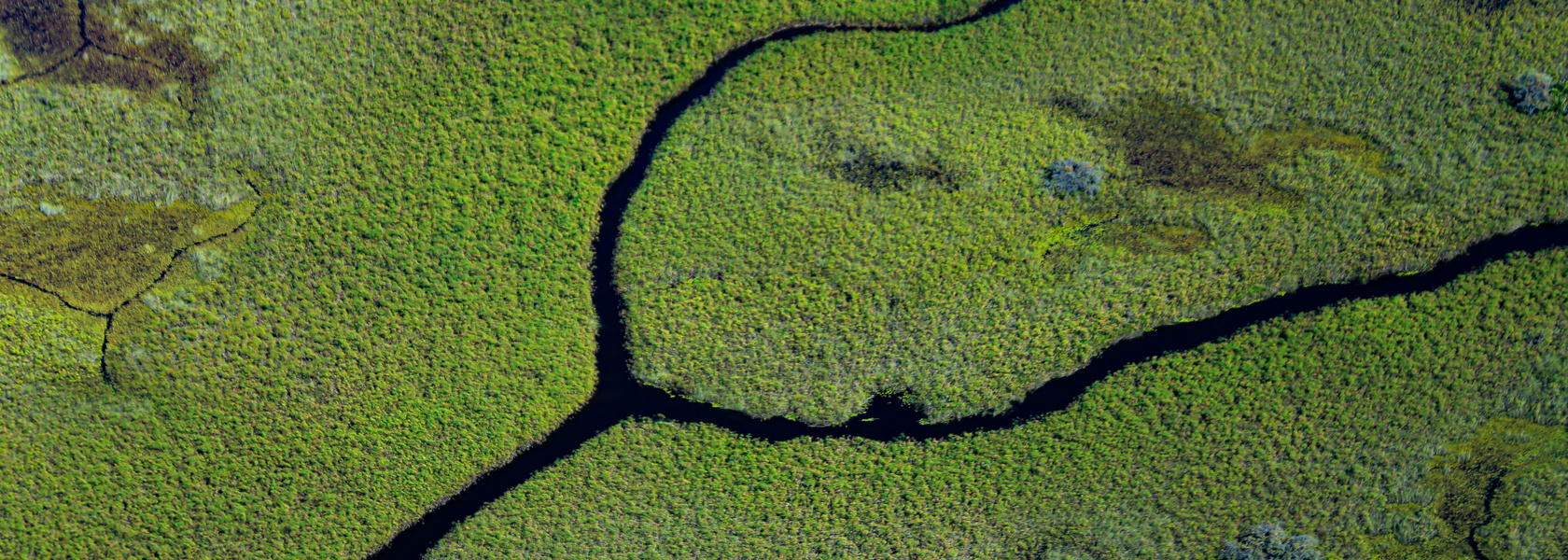 The jewel of the Kalahari desert: The Okavango Delta