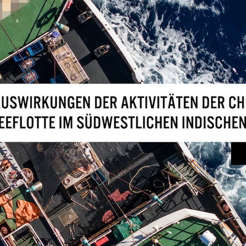 Webinar: Auswirkungen der Aktivitäten der chinesischen Hochseeflotte im südwestlichen Indischen Ozean