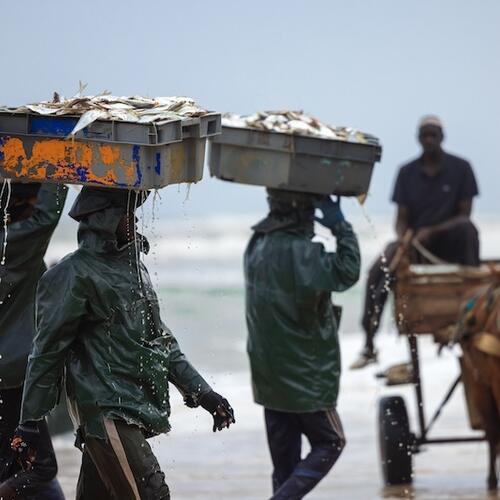 European Commission warning to Senegal will further strengthen the fight against illegal fishing