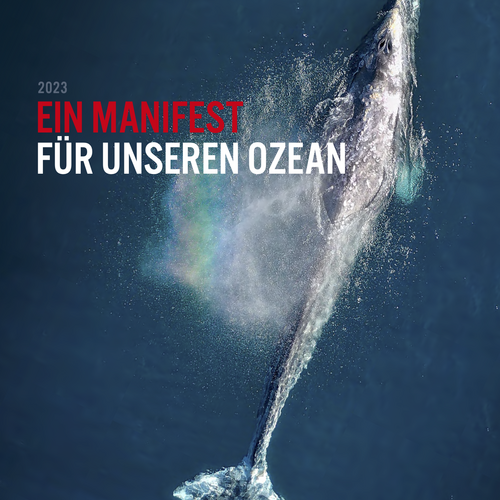 Ein Manifest für unseren Ozean