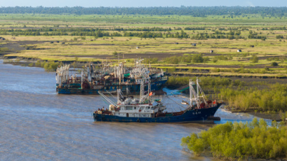 EU voters should choose better protection for the natural world this week, says Environmental Justice Foundation